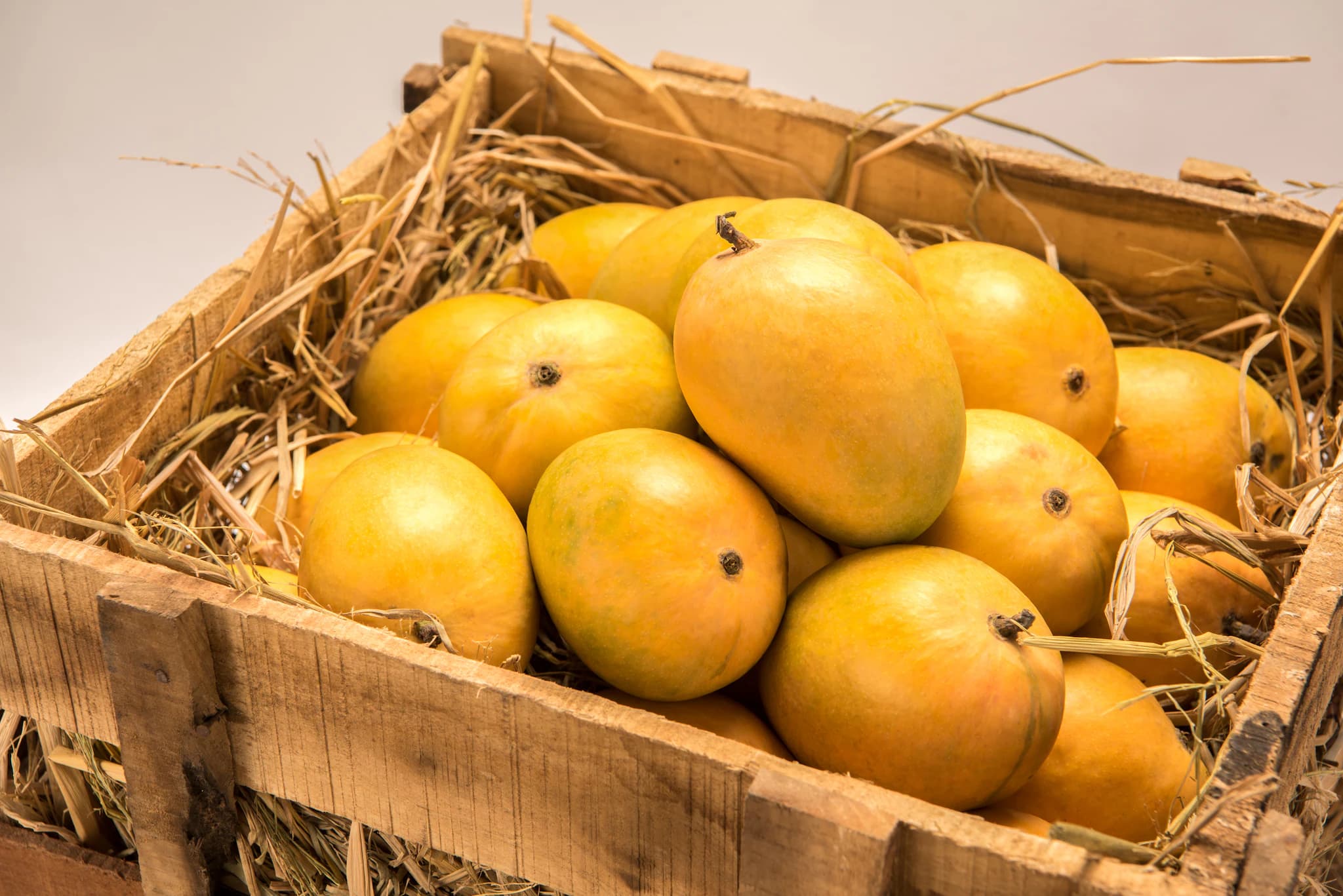 Mango Pack Image