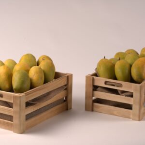 Kesar Mango Twin Box Deal