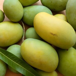 Cheruku Rasalu Mango