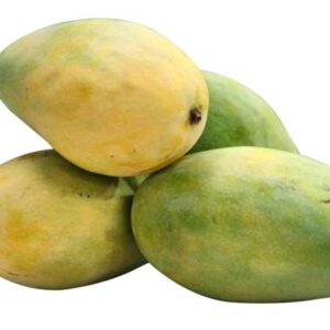 Pedda Rasallu Mango