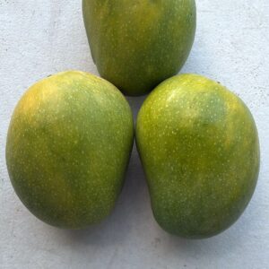 Ratna Mango