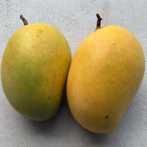 Chinna Rasallu Mango