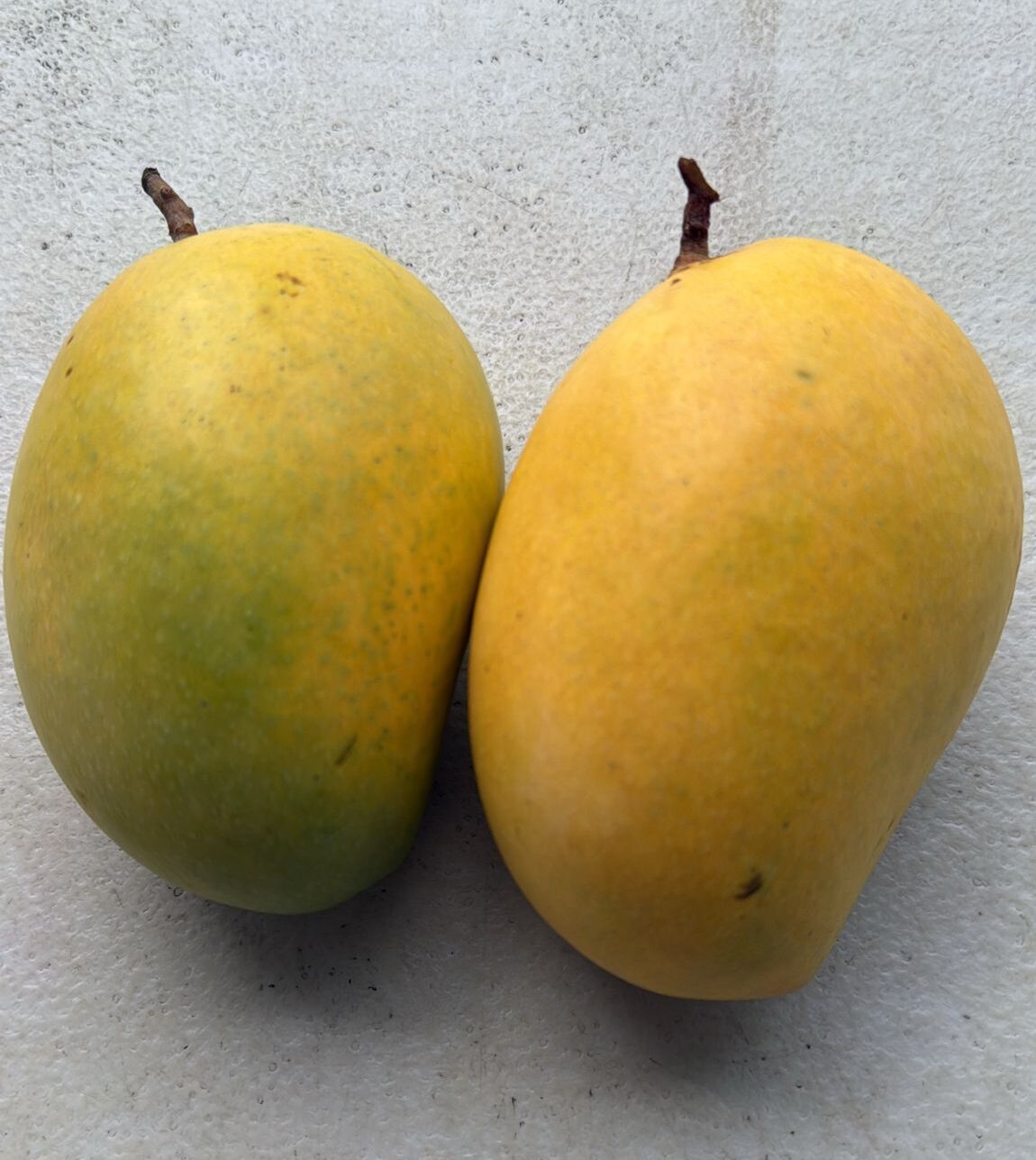 Chinna Rasallu Mango