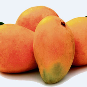Rajnath Aam